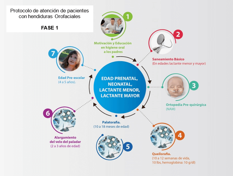 Imagen 1: Edad Prenatal, Neonatal, Lactante Menor, Lactante Mayor.