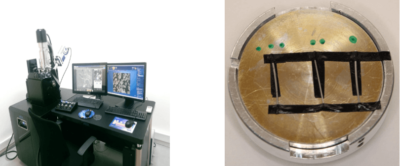 Imagen 4. Procedimiento (colocación en platina y observación de las muestras)